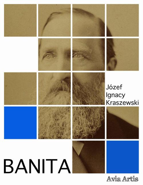 Okładka: Banita