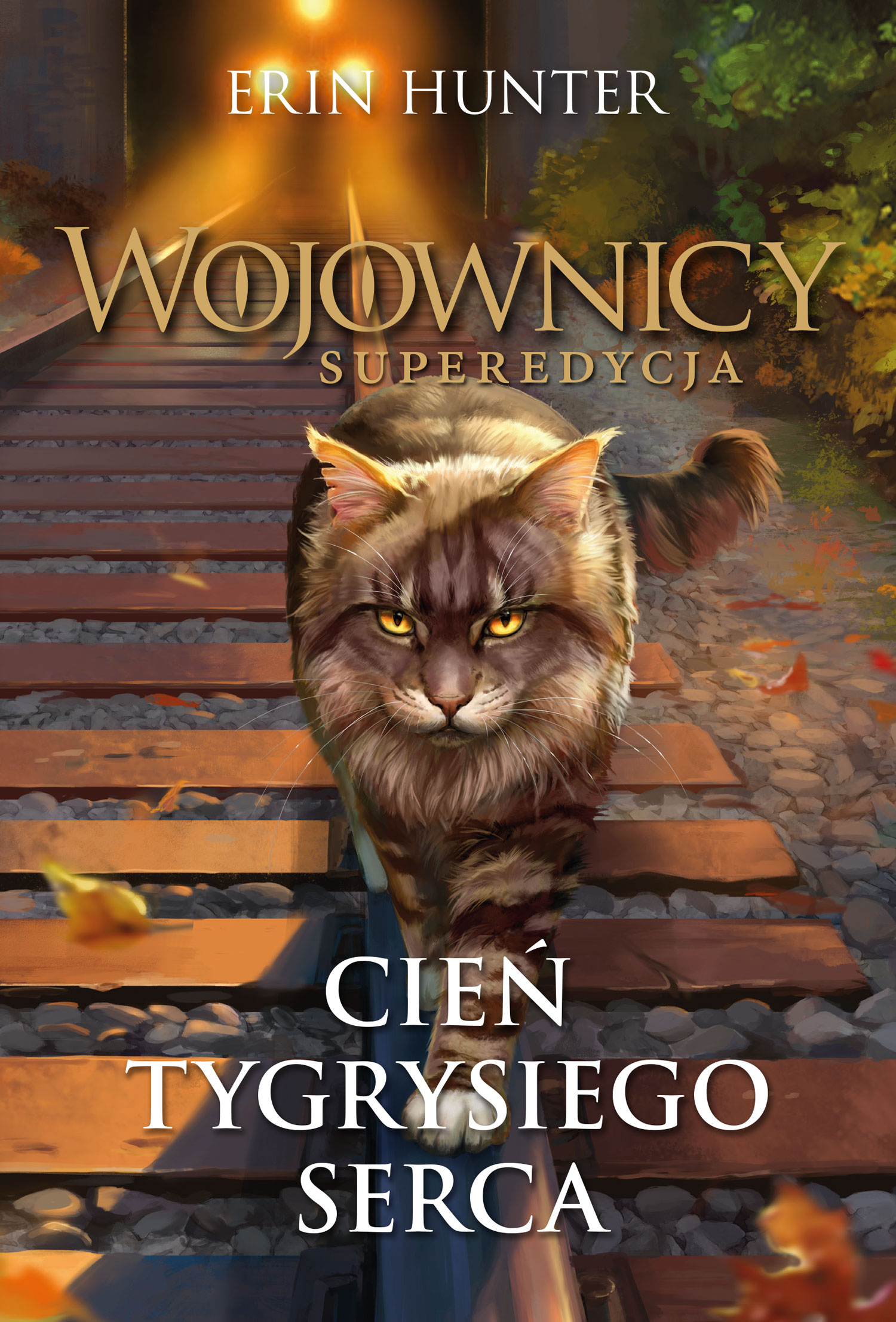 Okładka: Cień Tygrysiego Serca