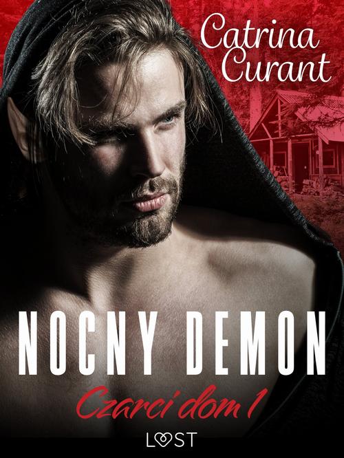 Okładka: Czarci dom 1: Nocny demon – seria erotyczna