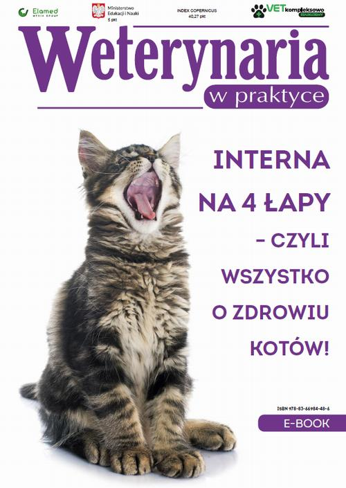 Okładka: Interna na 4 łapy – czyli wszystko o zdrowiu kotów