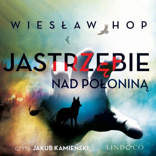 Okładka: Jastrzębie nad połoniną