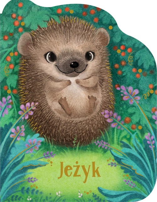 Okładka: Jeżyk