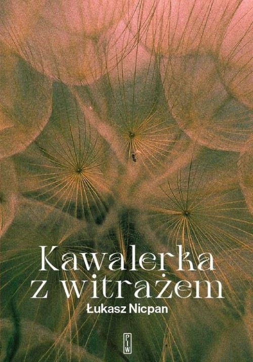 Okładka: Kawalerka z witrażem