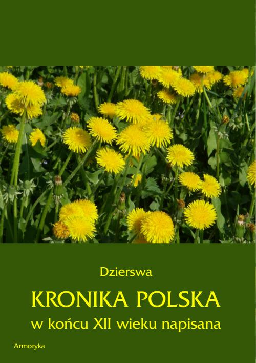 Okładka: Kronika polska Dzierswy (Dzierzwy)
