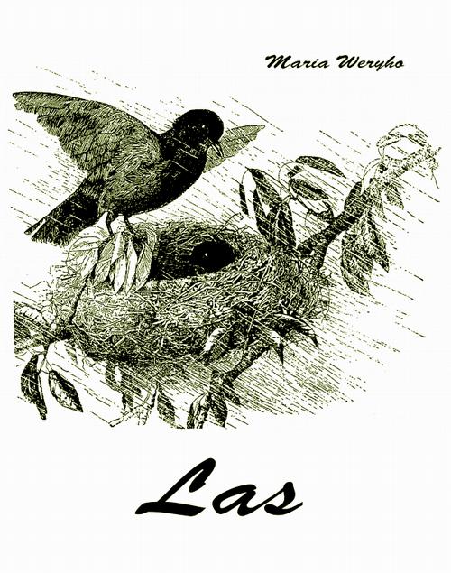Okładka: Las