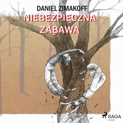 Okładka: Niebezpieczna zabawa