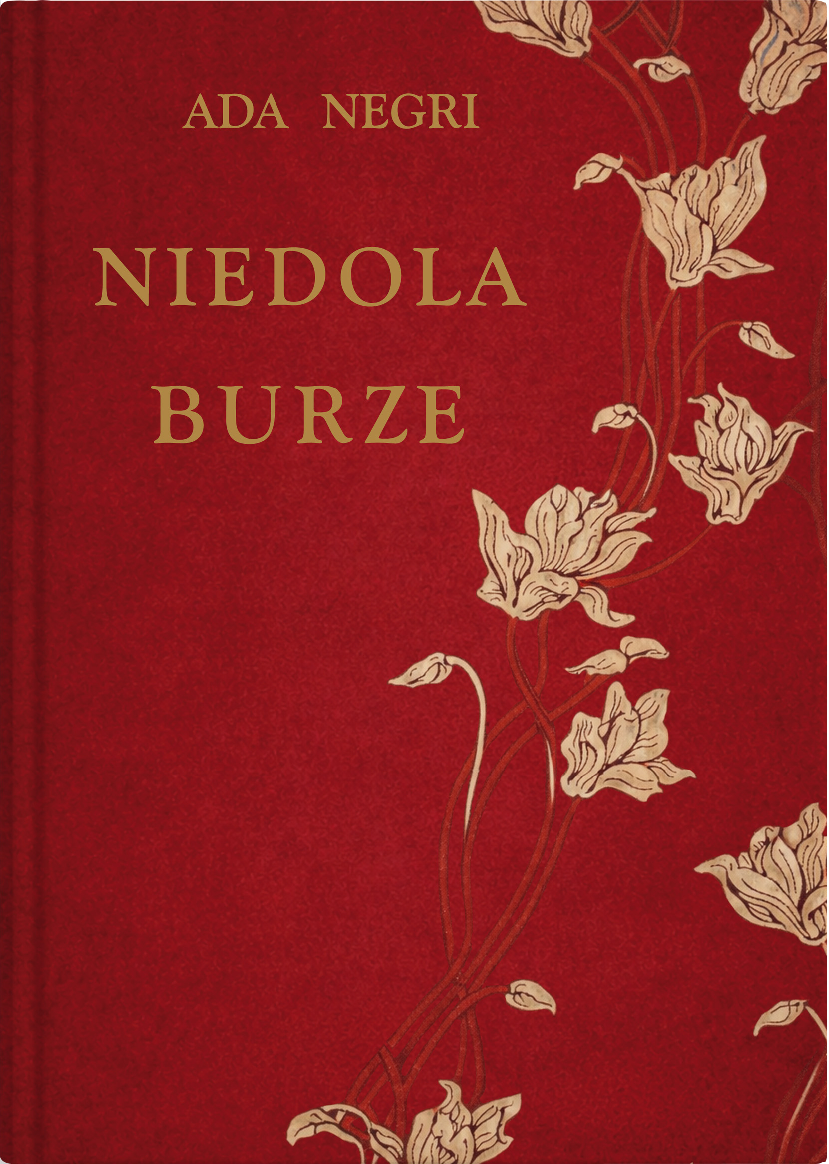 Okładka: Niedola burze