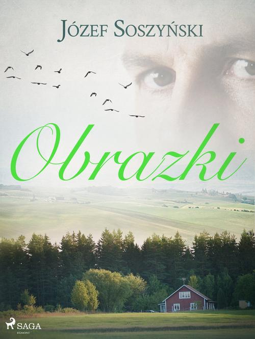 Okładka: Obrazki