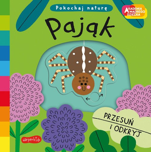 Okładka: Pająk Akademia mądrego dziecka. Pokochaj naturę