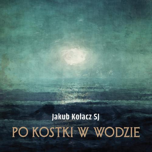 Okładka: Po kostki w wodzie