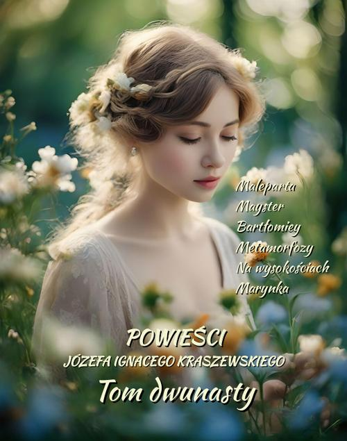 Okładka: Powieści Józefa Ignacego Kraszewskiego. Tom 12