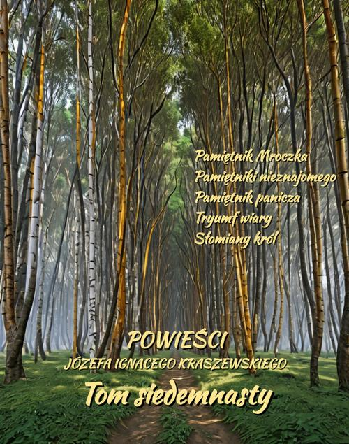 Okładka: Powieści Józefa Ignacego Kraszewskiego. Tom 17