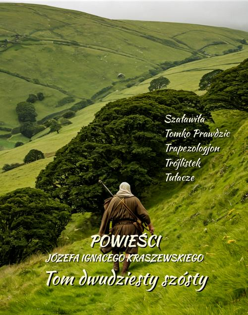 Okładka: Powieści Józefa Ignacego Kraszewskiego. Tom 26