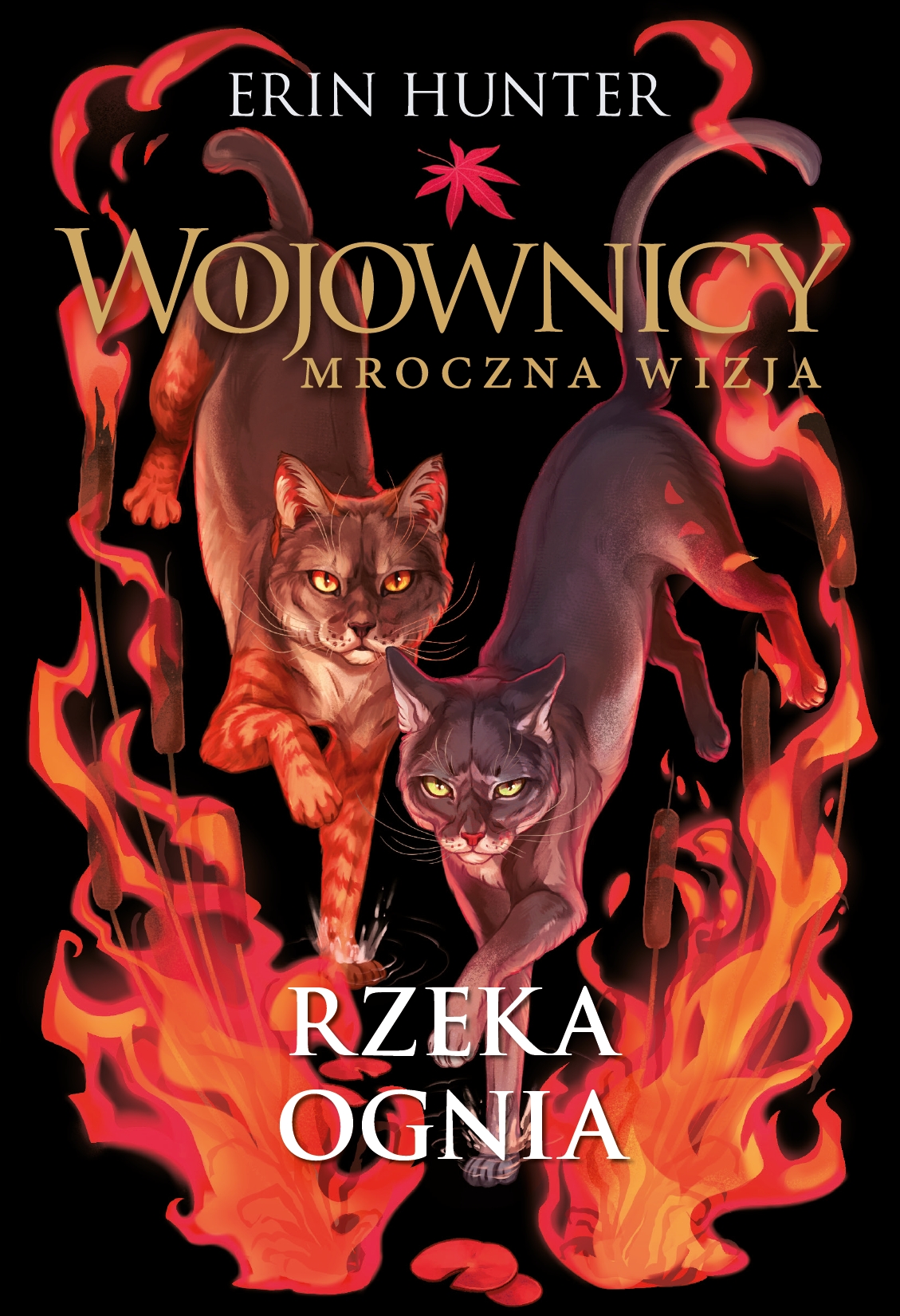 Okładka: Rzeka ognia