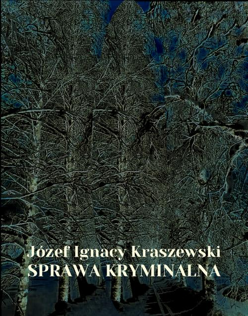 Okładka: Sprawa kryminalna
