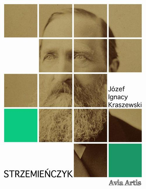 Okładka: Strzemieńczyk