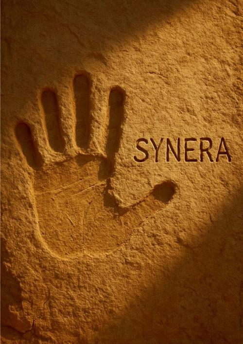 Okładka: Synera