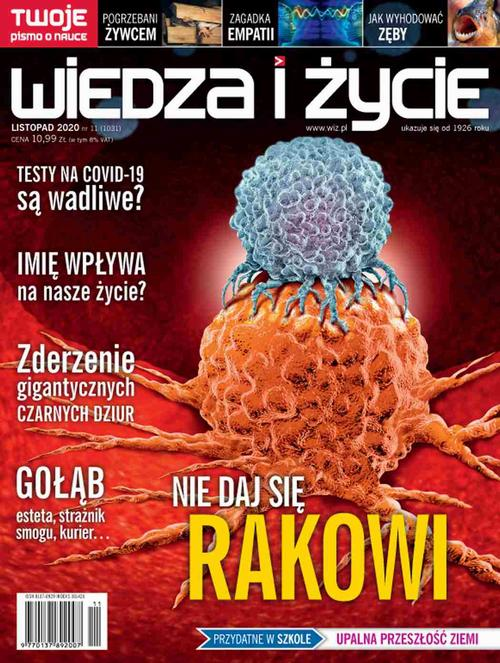 Okładka: Wiedza i Życie nr 11/2020