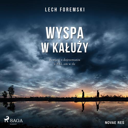 Okładka: Wyspa w kałuży