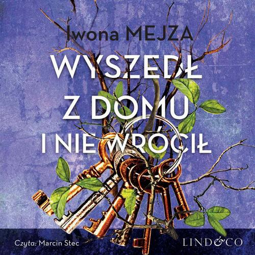 Okładka: Wyszedł z domu i nie wrócił