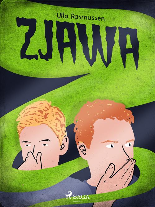 Okładka: Zjawa
