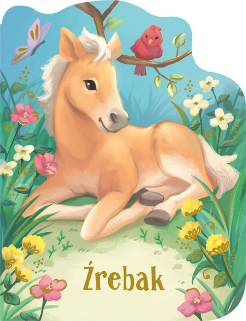 Okładka: Źrebak